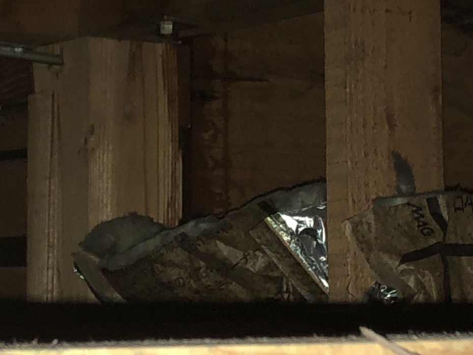 IMG_1662 IMG_16621