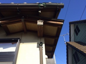 IMG_2744 IMG_2744