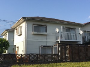 IMG_2922 IMG_2922