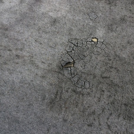 IMG_2940 IMG_2940