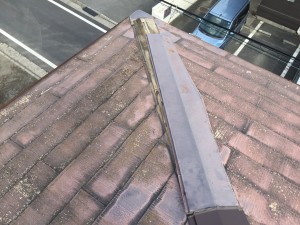 IMG_2960 IMG_2960