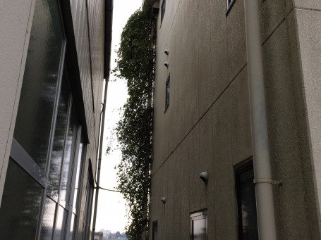 IMG_3219 IMG_32192