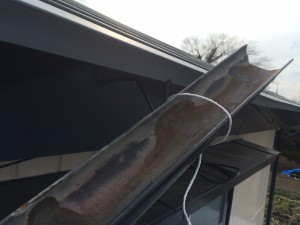 IMG_3651 IMG_3651