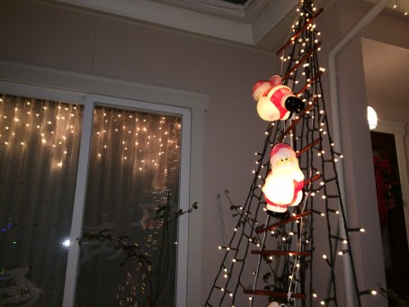 IMG_3931 IMG_3931