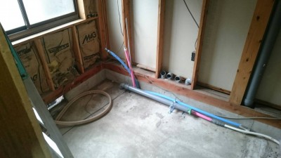 IMG_4195 IMG_4195