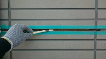IMG_4806 IMG_48061