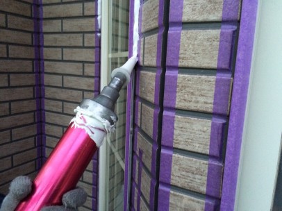 IMG_5395 IMG_5395