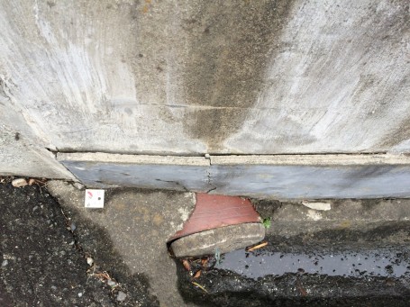 IMG_5806 IMG_5806