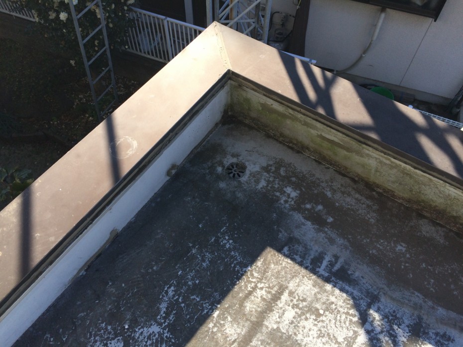 IMG_5835 IMG_5835