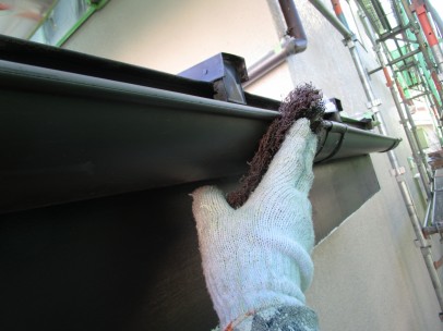 IMG_7365 IMG_7365