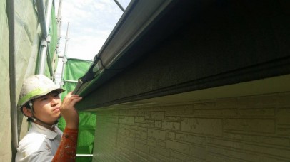 IMG_8769 IMG_8769