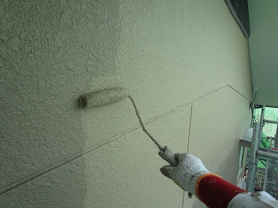 IMG_9250 IMG_9250