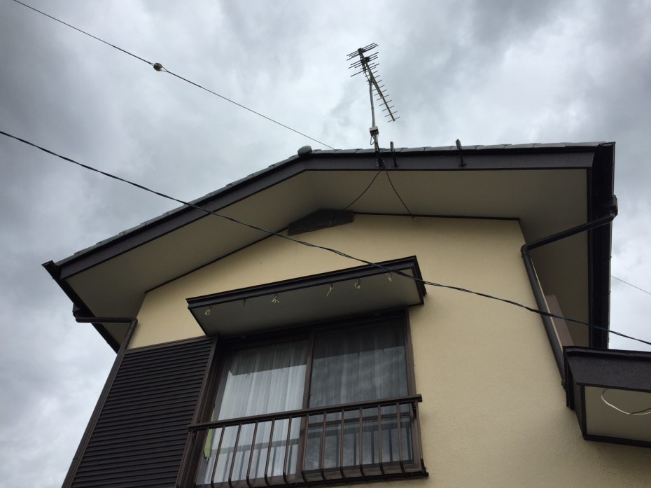 S__17809416 S__17809416