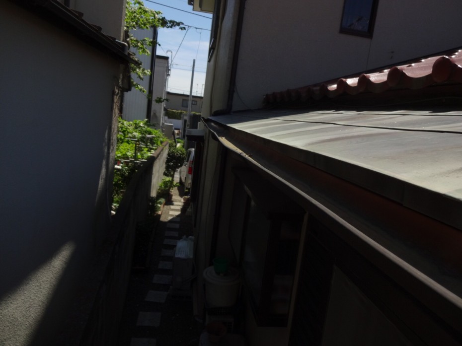 S__18268171 S__18268171