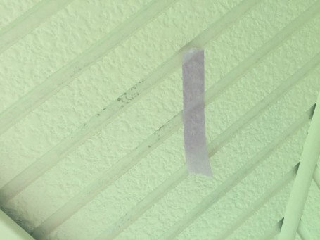 S__21233696 S__21233696