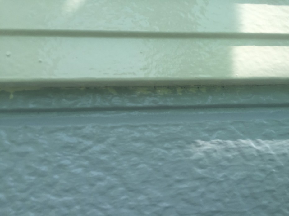 S__21798947 S__217989471