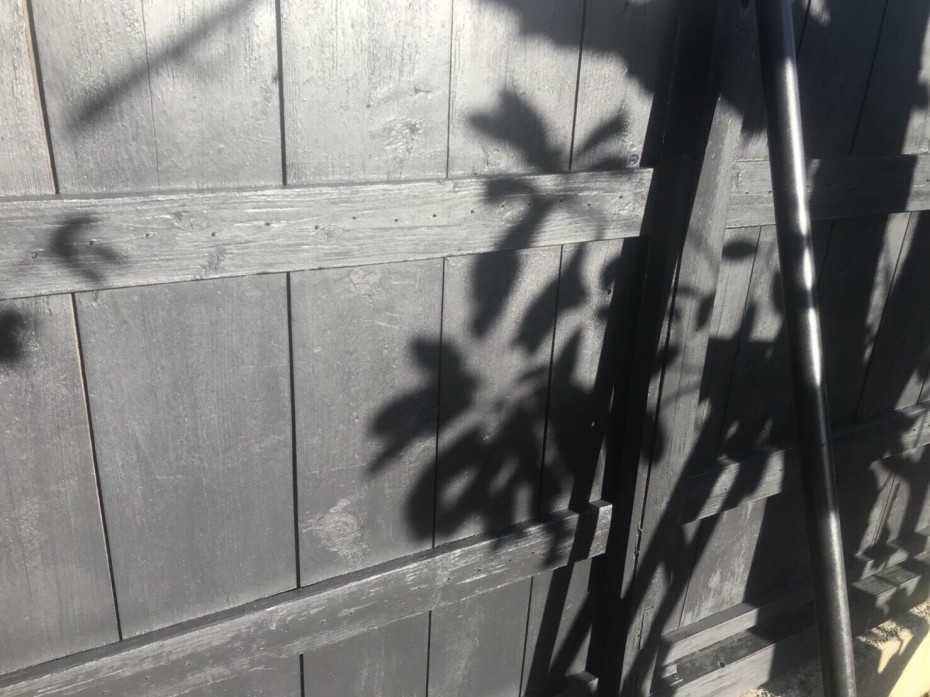 S__21798955 S__21798955