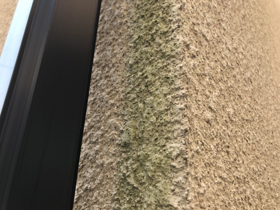 S__6316044 S__6316044