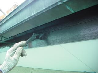 p20091218172757 p20091218172757