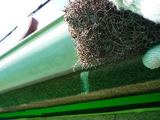 p20100113181712 p20100113181712