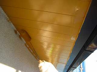 p20100116180142 p20100116180142