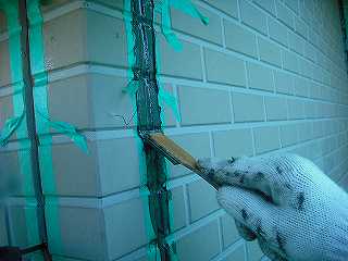 p20100126193229 p20100126193229