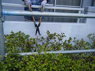 p20100130173924 p20100130173924