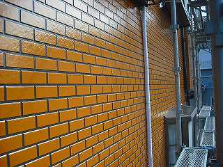 p20100215183512 p20100215183512