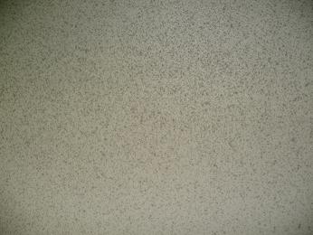p20100412170144 p20100412170144