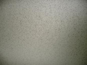 p20100412170424 p20100412170424