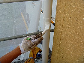 p20101016195017 p20101016195017