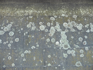 p20101109182854 p20101109182854