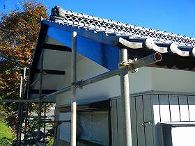 p20101116180607 p20101116180607