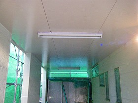 p20101201180003 p20101201180003