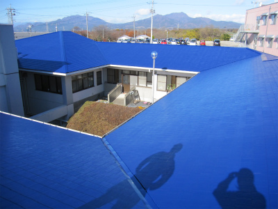 p20101204191550