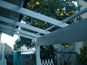 p20101208180608 p201012081806081