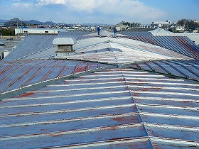 p20110112182008 p20110112182008