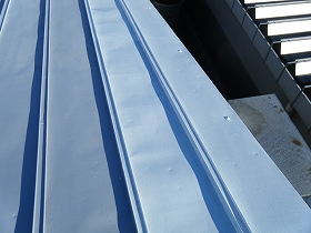 p20110118183739 p20110118183739