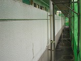 p20110126190546 p20110126190546