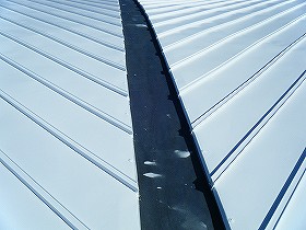 p20110131180923 p20110131180923
