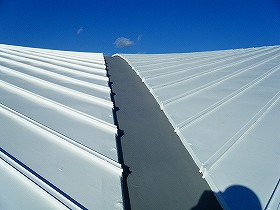 p20110131180931 p20110131180931