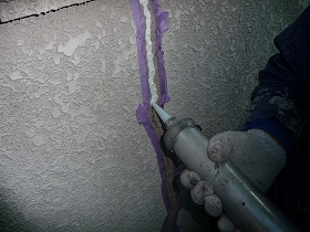 p20110309184450 p20110309184450