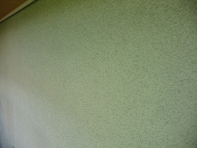 p20110316184529 p20110316184529