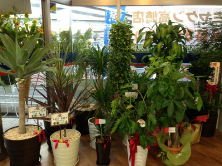 sIMG_0031 sIMG_0031