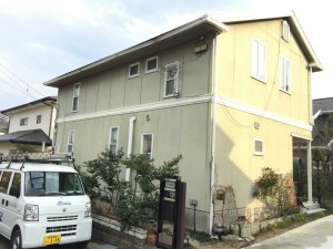 sIMG_0642 sIMG_0642