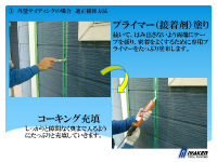 shindan (10) shindan-101