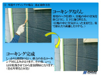 shindan (11) shindan-112