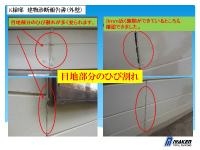 shindan (2) shindan-26