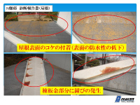 shindan (3) shindan-32