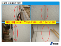 shindan (5) shindan-52
